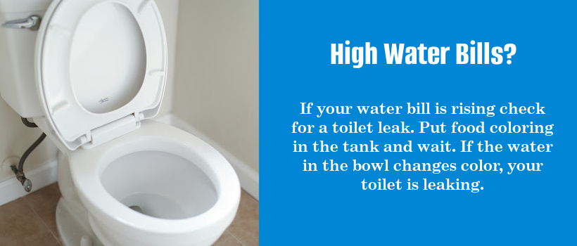 Toilet Leak